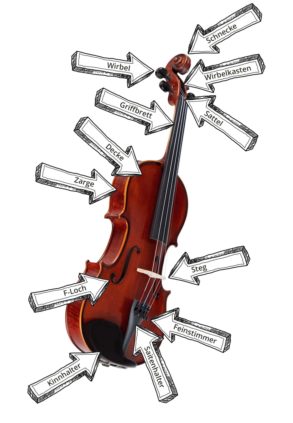 Bezeichnung der Teile bei Streichinstrumenten am Beispiel der Violine