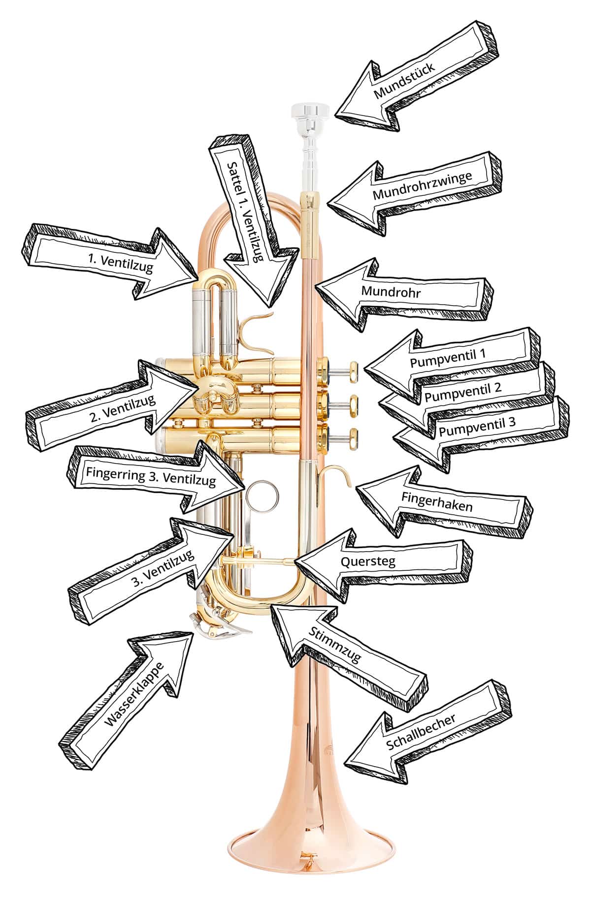 Bezeichnungen Trompete mit Pumpventilen