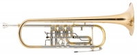 Classic Cantabile TR-43G Bb Trumpet, Gold-Plated Brass