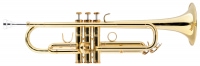 Lechgold TR-18LW Bb-trompet lichtgewicht gelakt