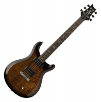 PRS SE Paul's Guitar Black Gold Burst - Retoure (Zustand: sehr gut)