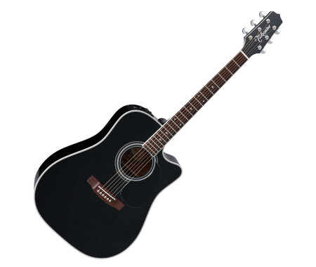 takamine bruce springsteen signature