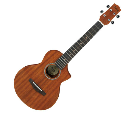 Ukelele ibanez uew5 deals opn