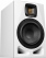 Adam Audio A7V White Limited Edition