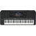 Yamaha PSR SX720