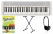 Casio CT-S1WE Casiotone Keyboard Weiß Set