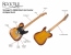 Rocktile Vinstage TL-RMAB E-Gitarre Antique Burst Abbildung 7