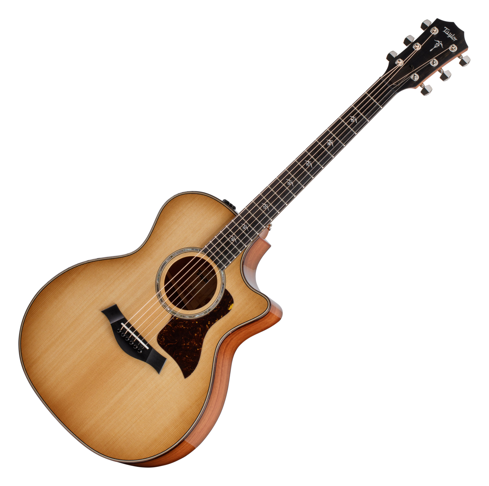 Taylor 514ce Urban Ironbark  - 1A Showroom Modell (Zustand: wie neu, in OVP)