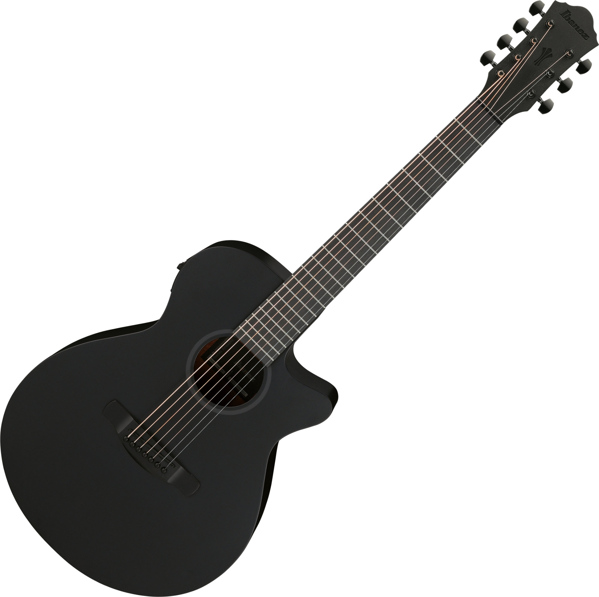 Ibanez AEG721-BOT Black Out