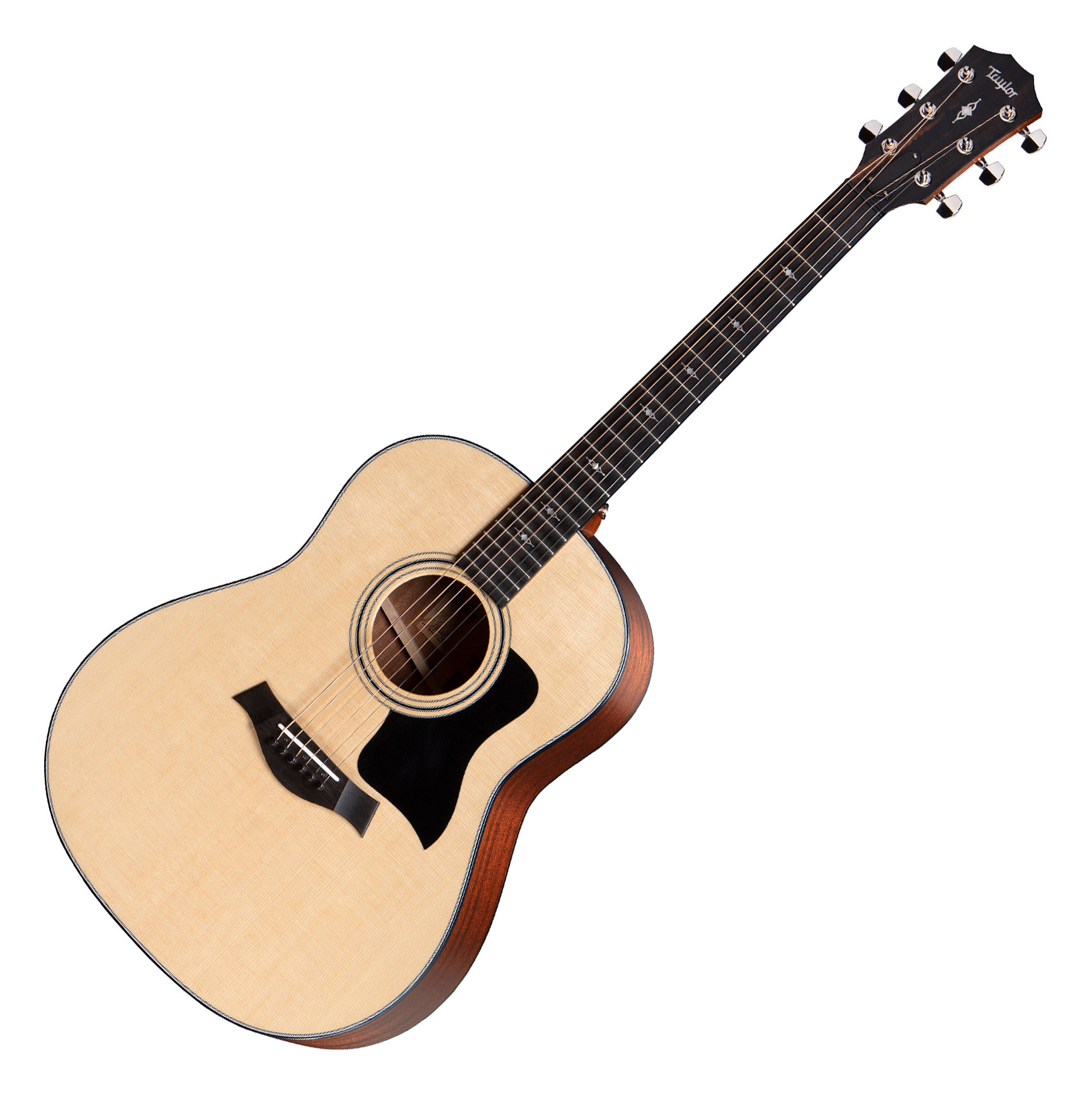 Taylor 317 V-Class  - Retoure (Zustand: sehr gut)