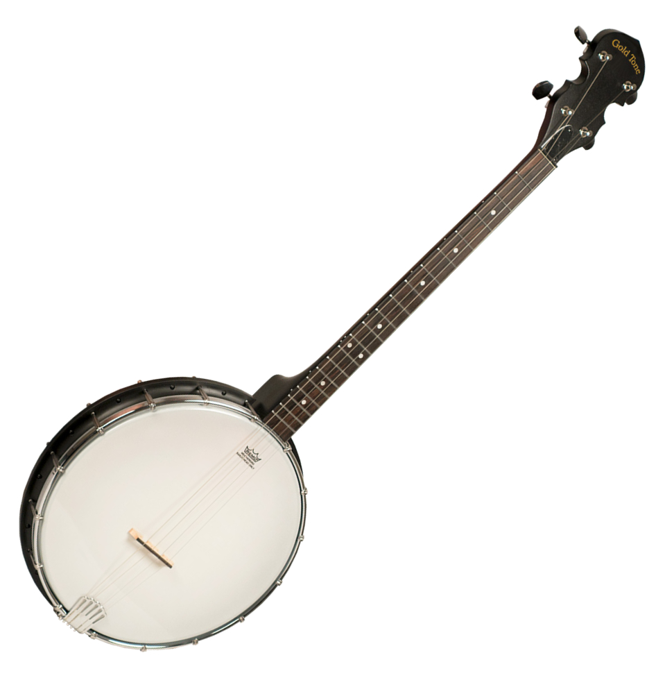 Gold Tone AC-4 Openback Tenor Banjo