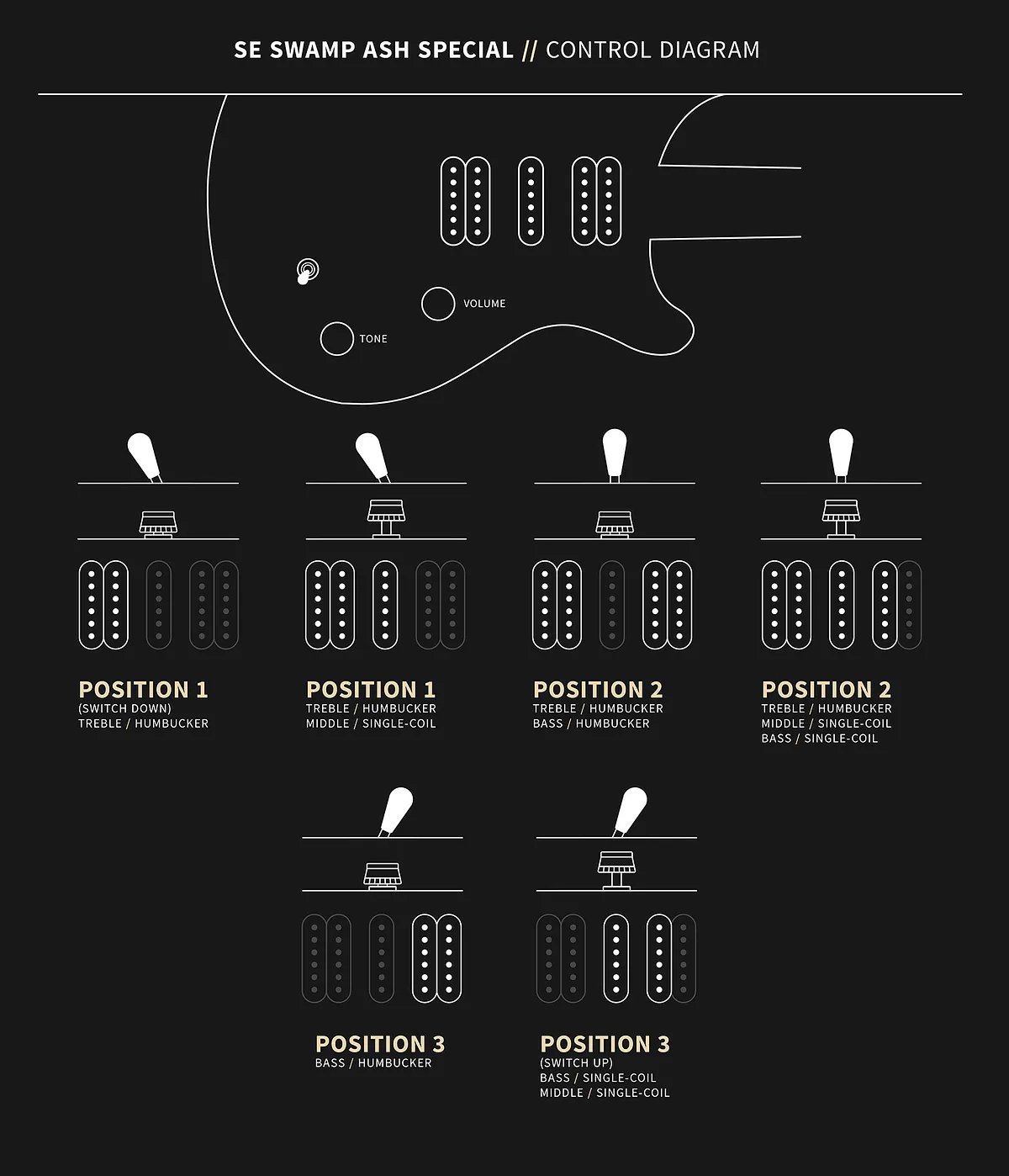 PRS SE Swamp Ash Special Charcoal