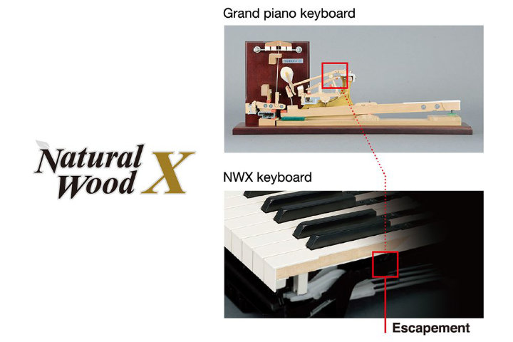 Natural Wood X (NWX) Tastatur - Das Gefühl eines akustischen Flügels